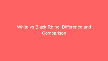 Yield Strength vs Ultimate Strength: Difference and Comparison