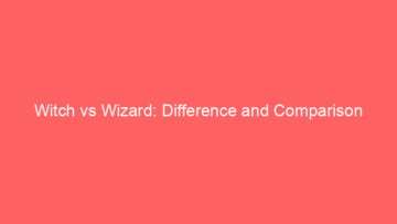 witch vs wizard difference and comparison 660765