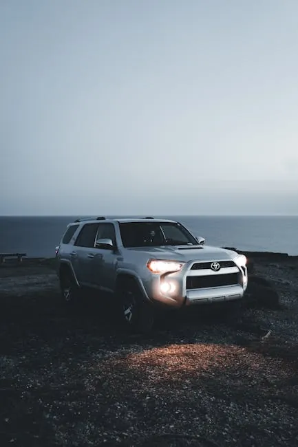 Chapman's Peak Drive: Cape Town's Clifftop Road